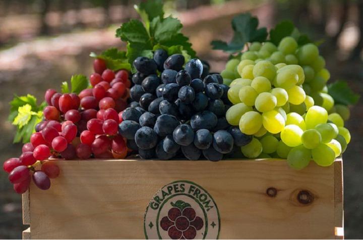 Bí quyết rửa sạch rau củ, trái cây chỉ với bột mì-2