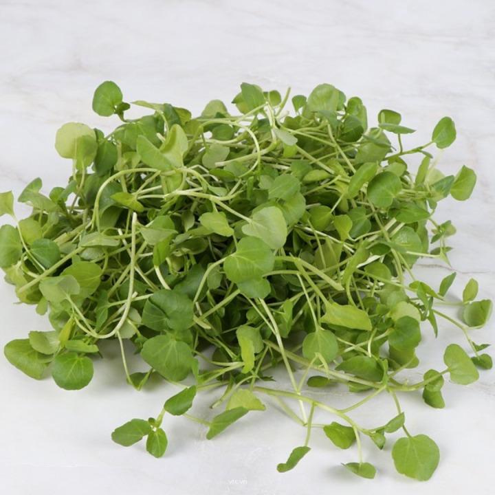 Công dụng của rau cải xoong không phải ai cũng biết-1