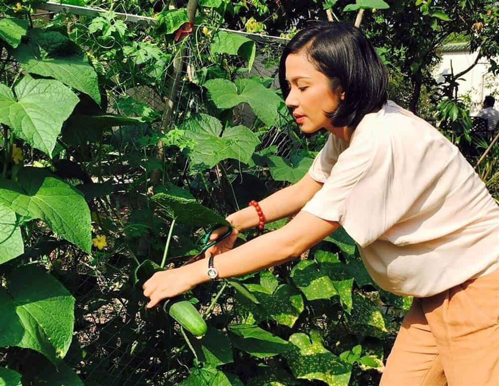 Việt Trinh sống bình yên bên con trai sau hơn 1 năm giải nghệ-11