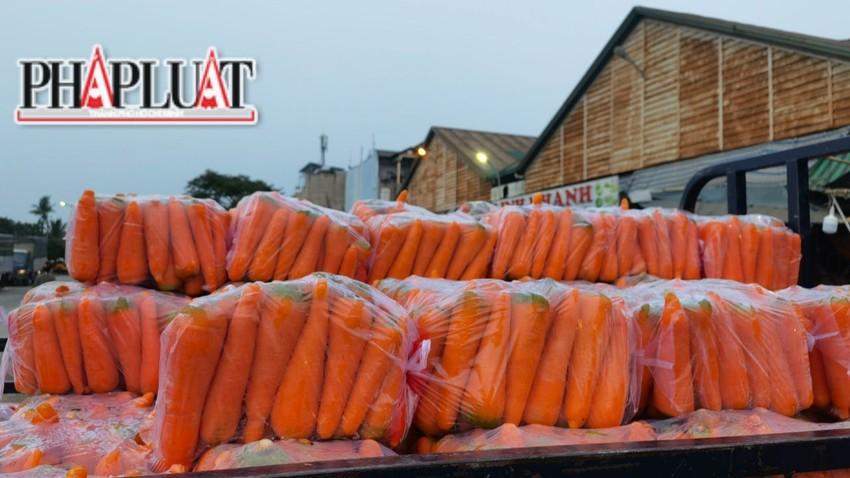 Cách phân biệt cà rốt Đà Lạt và cà rốt Trung Quốc-4