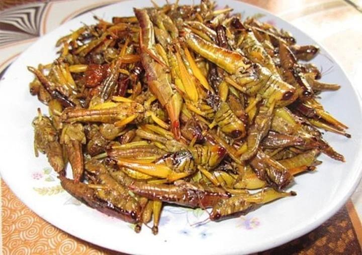 Ghé thăm Tây Bắc thưởng thức món muồm muỗm rang Mường Lò-3