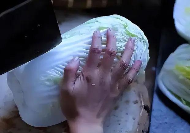 Bàn tay đầy sẹo sần sùi của tiên nữ đồng quê Lý Tử Thất-3