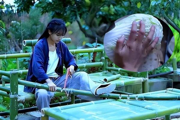 Lý Tử Thất thắng kiện công ty thực phẩm, bất ngờ tiền bồi thường-2