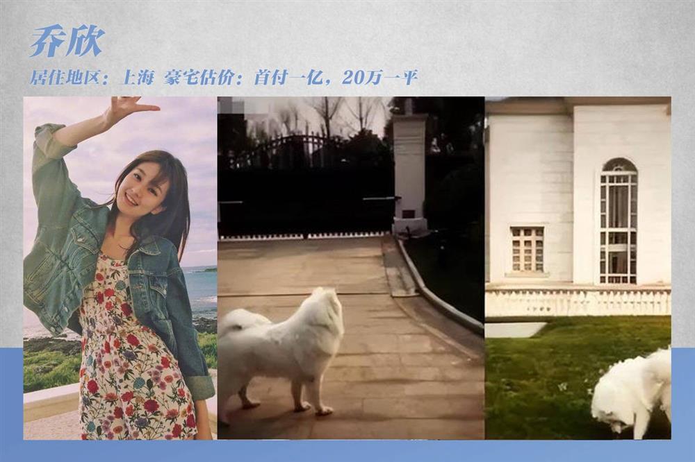 Đại gia bất động sản ở showbiz-6