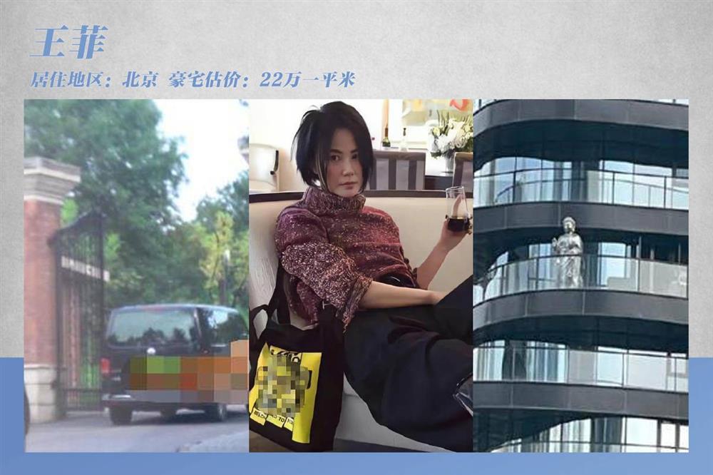 Đại gia bất động sản ở showbiz-10