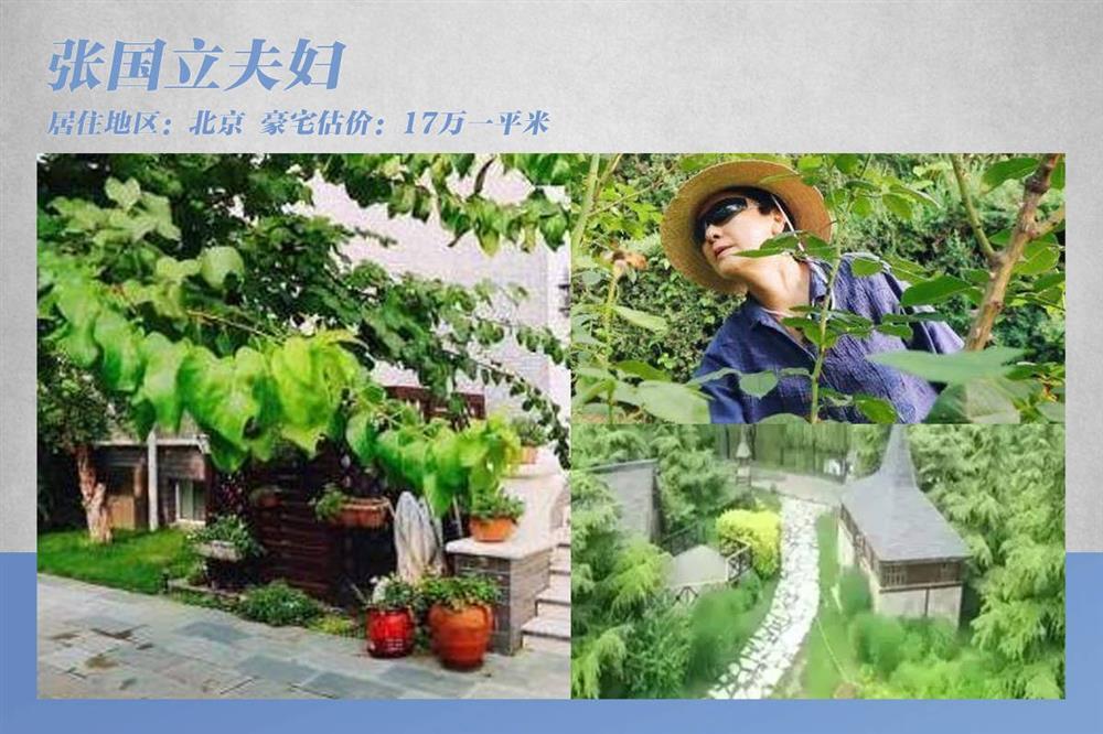 Đại gia bất động sản ở showbiz-12