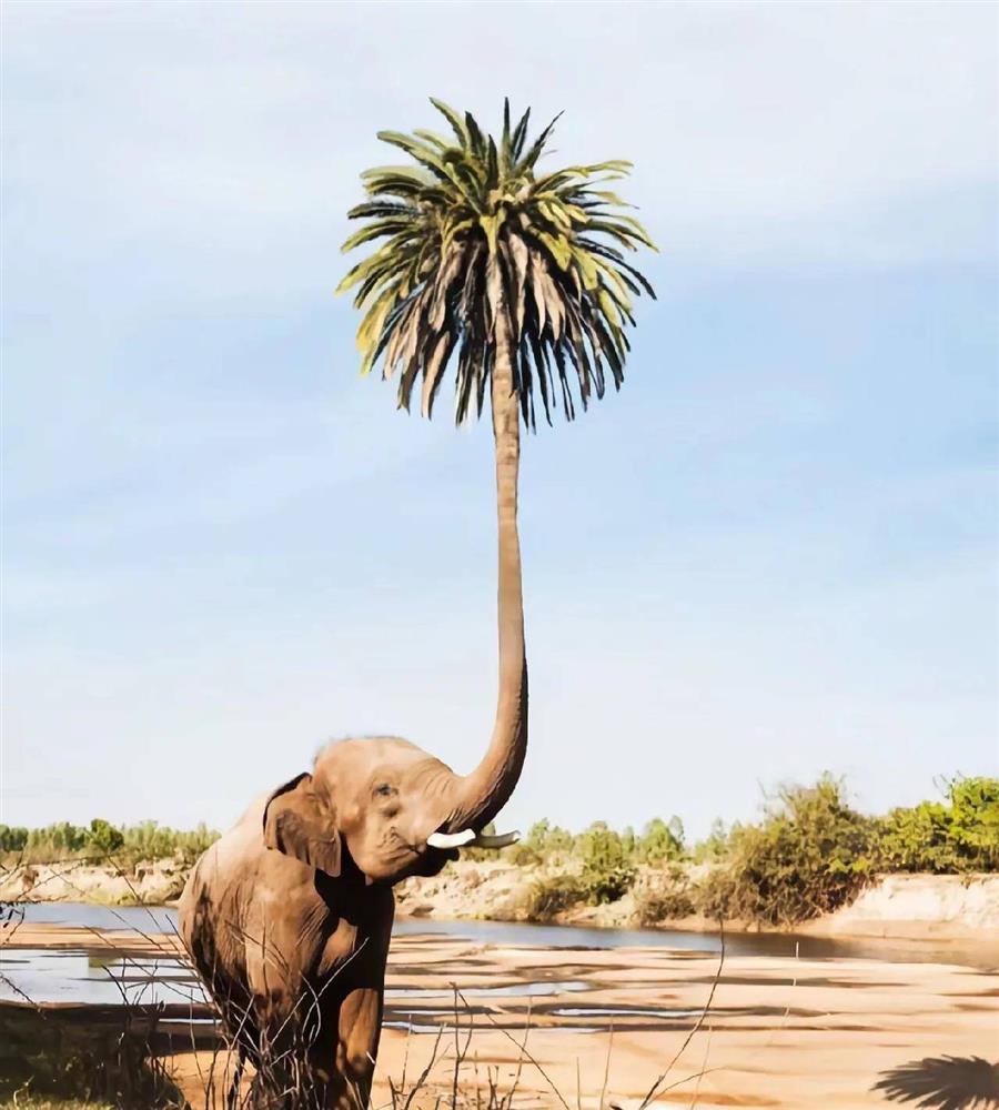 Trắc nghiệm tâm lý: Bạn đã thấy gì từ cái nhìn đầu tiên?-1