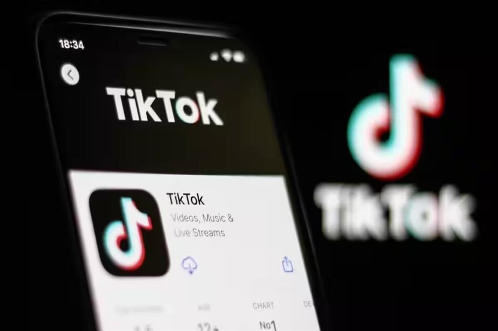 Nhạc chế độc hại trên TikTok Việt-3