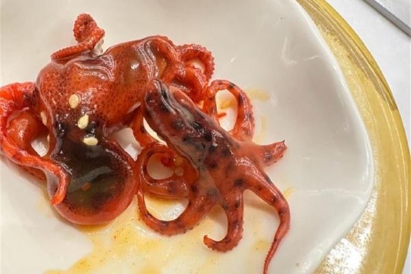 Người đàn ông suýt chết nghẹn vì nuốt chửng cả con bạch tuộc sống-2