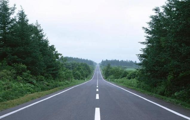 Trắc nghiệm tâm lý: Bạn thấy con đường nào cô đơn nhất?-3