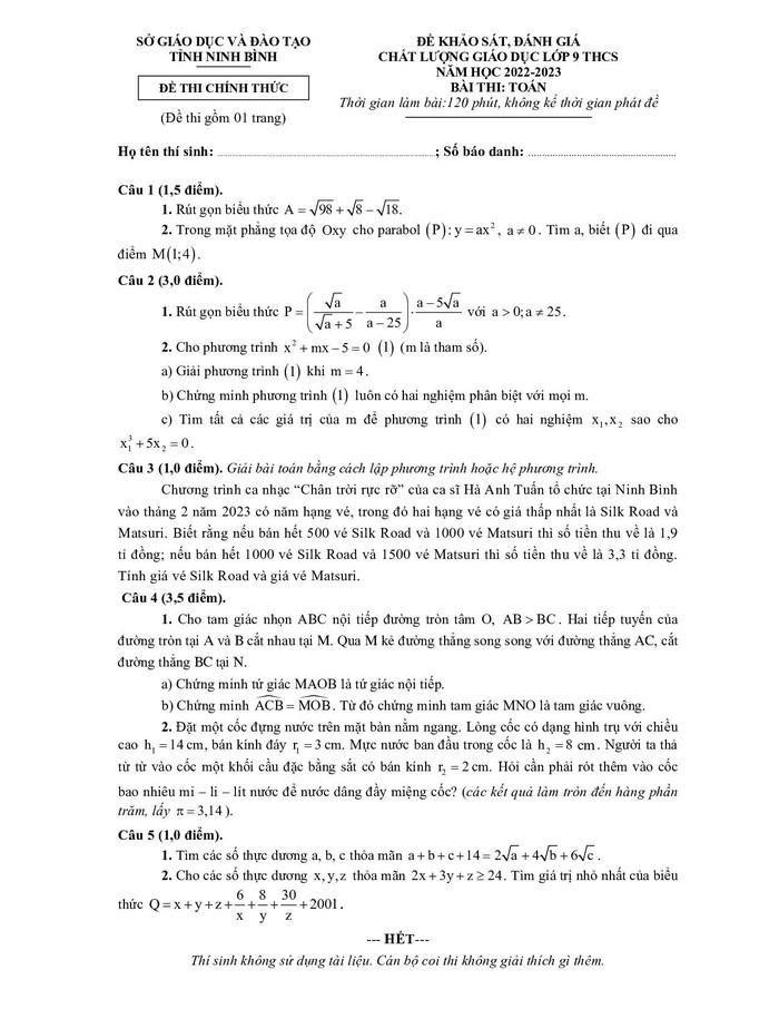 Đêm nhạc của Hà Anh Tuấn vào đề thi Toán ở Ninh Bình-1