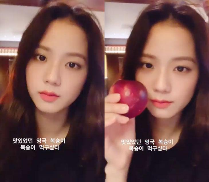 Chế độ ăn của Jisoo (Blackpink) không phải ai cũng làm theo được-2
