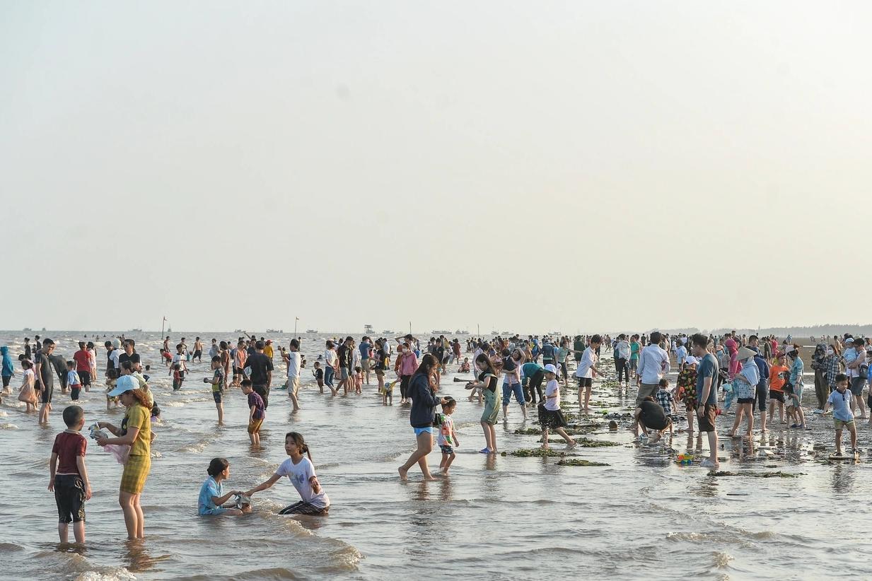 Xuất hiện đàn cá heo bơi gần bờ biển Phú Yên-2