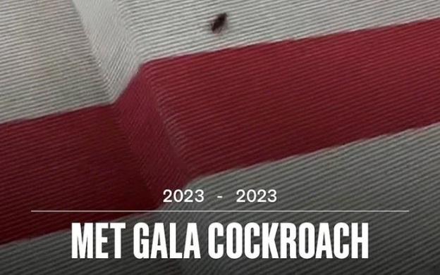 Thảm đỏ danh giá Met Gala náo loạn vì gián-1