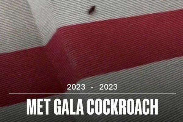 Tiệc hậu Met Gala 2023: Dàn sao lên đồ đi quẩy, Kendall Jenner chặt đẹp tất cả-10