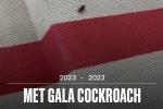 Trớ trêu tại Met Gala 2023: Robert Pattinson suýt chạm mặt tình cũ-8