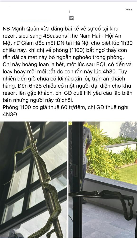 Quảng Nam phân trần việc rắn bò vào phòng khách thuê 60 triệu/đêm-1