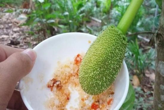 Quả mít non có tác dụng gì?