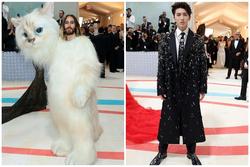 Sao nam trên thảm đỏ Met Gala 2023: Muôn kiểu 'chặt chém'!