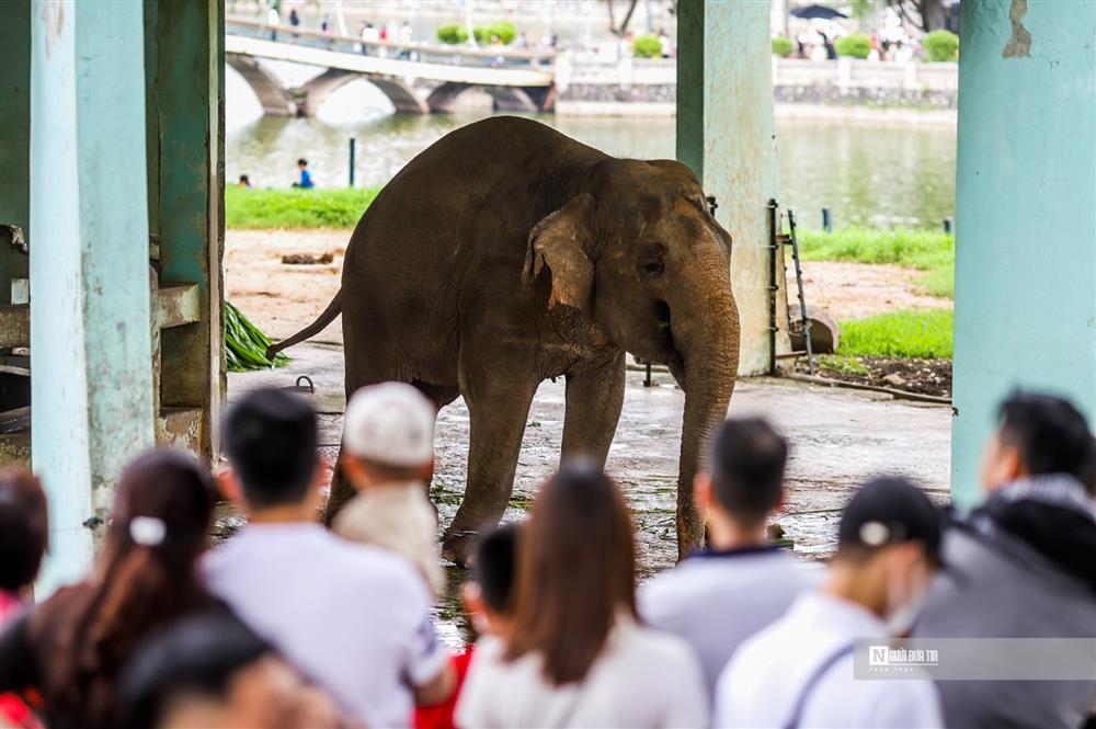 Dòng người chen chân đi chơi vườn thú dịp nghỉ lễ 30/4 – 1/5-4