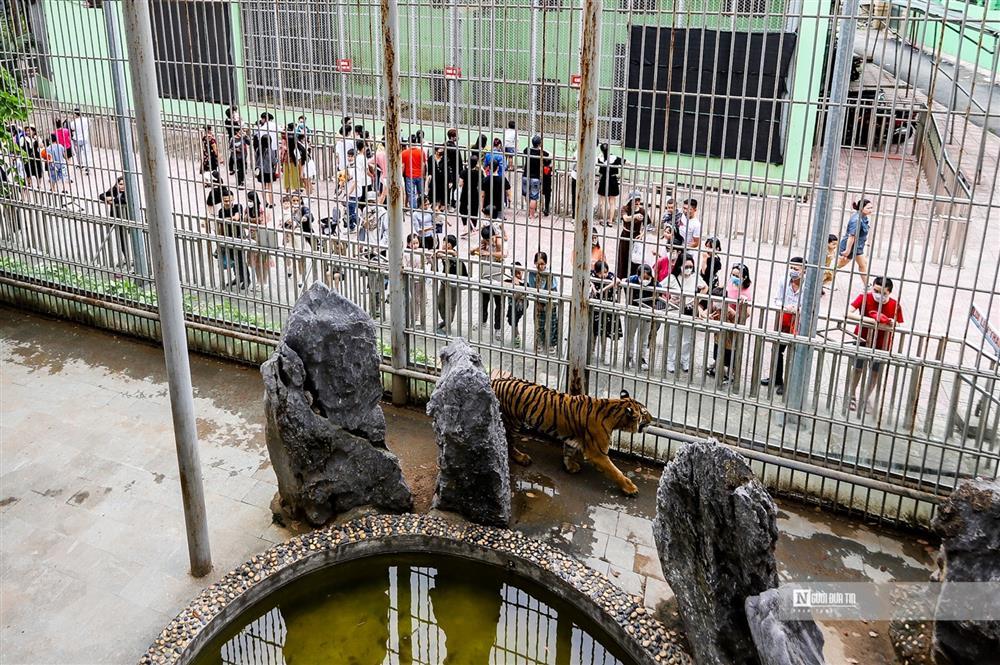 Dòng người chen chân đi chơi vườn thú dịp nghỉ lễ 30/4 – 1/5-5