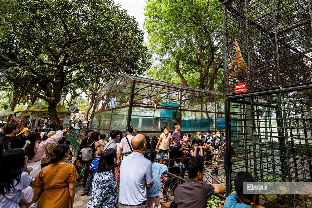 Dòng người chen chân đi chơi vườn thú dịp nghỉ lễ 30/4 – 1/5-6