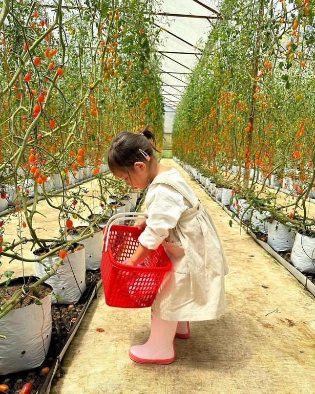 Dạy con khéo như Hồ Ngọc Hà: Lisa - Leon 2 tuổi đã tự lập, giỏi ngoại ngữ-2