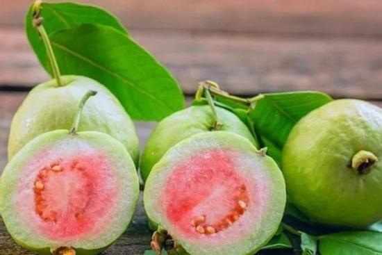 Ổi cực tốt nhưng sẽ hóa 'thuốc độc' với 4 nhóm người dưới đây