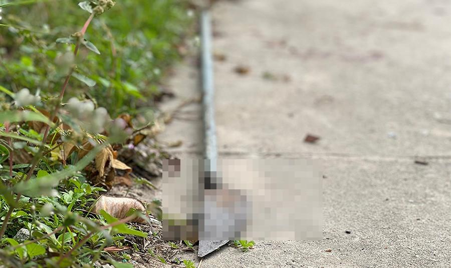 Bắt thanh niên 18 tuổi đâm chết cha và chú ruột ở An Giang-3