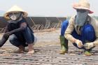 Việt Nam ghi nhận kỷ lục về nhiệt độ tại Thanh Hóa với 44,1 độ