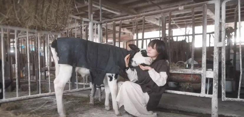 Chuỗi ngày ám ảnh của Lý Tử Thất Nhật Bản kiếm hơn 3 tỷ/năm-2