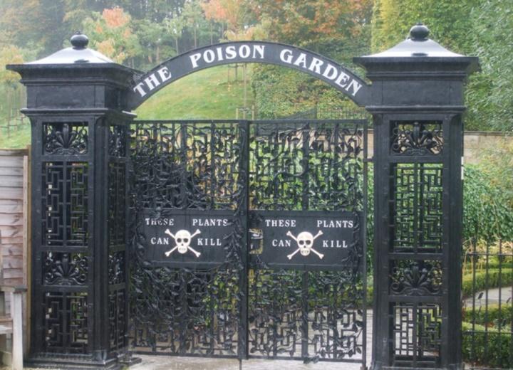 Có gì bên trong khu vườn chỉ cần chạm 1 chiếc lá cũng có thể chết người?-1