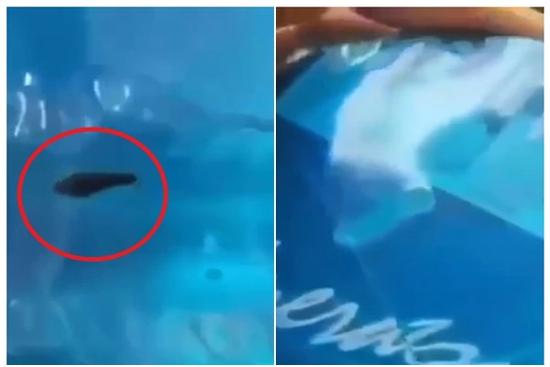 Vụ đỉa trong bình nước: Công ty nghi ngờ kẻ xấu cho dị vật qua van bình