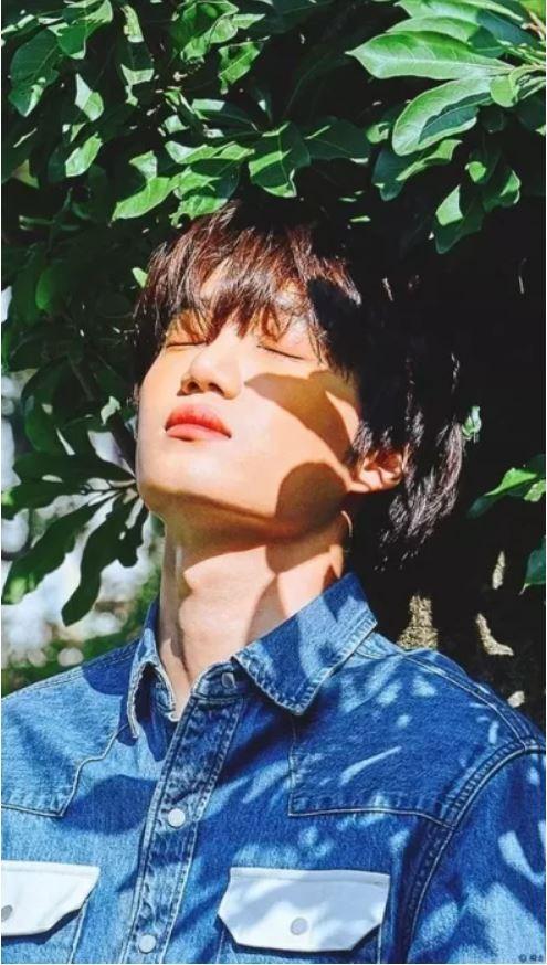 5 thần tượng K-pop sinh ra để... nổi tiếng-2