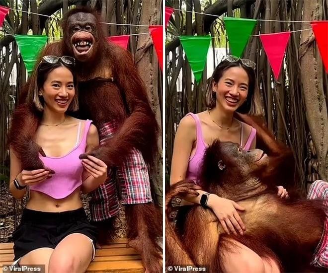 Đười ươi trong vườn thú nổi tiếng vì sàm sỡ nữ du khách-2