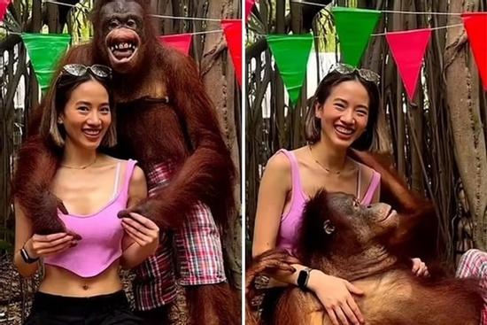 Đười ươi trong vườn thú nổi tiếng vì 'sàm sỡ' nữ du khách