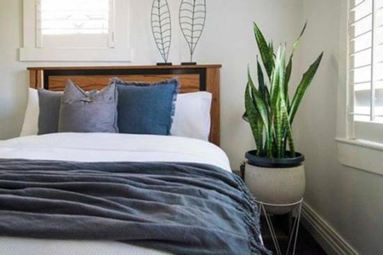 Đặt thứ này trong phòng ngủ, dù đang xui xẻo đến đâu cũng có thể cải vận