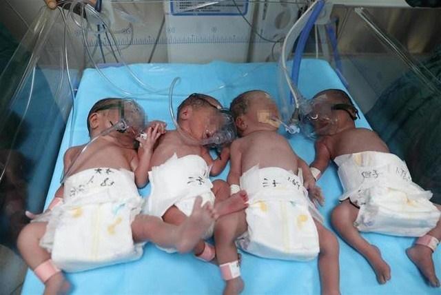 Vừa sinh 4 năm ngoái, người mẹ lại mang thai 4 chỉ sau 9 tháng-1