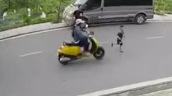 Danh tính cặp vợ chồng đánh nữ tài xế xe máy tông vào trẻ chạy sang đường-1
