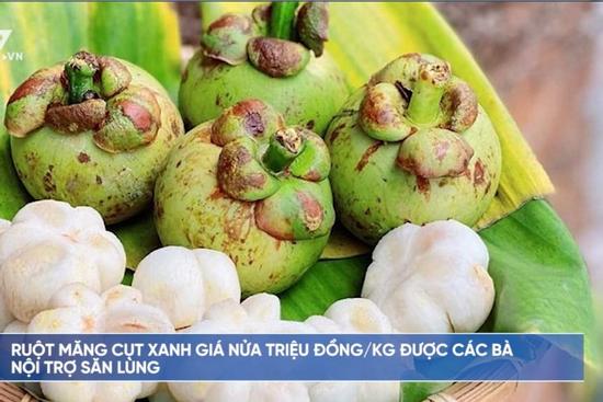 Ruột măng cụt xanh giá nửa triệu đồng/kg được các bà nội trợ ưa thích