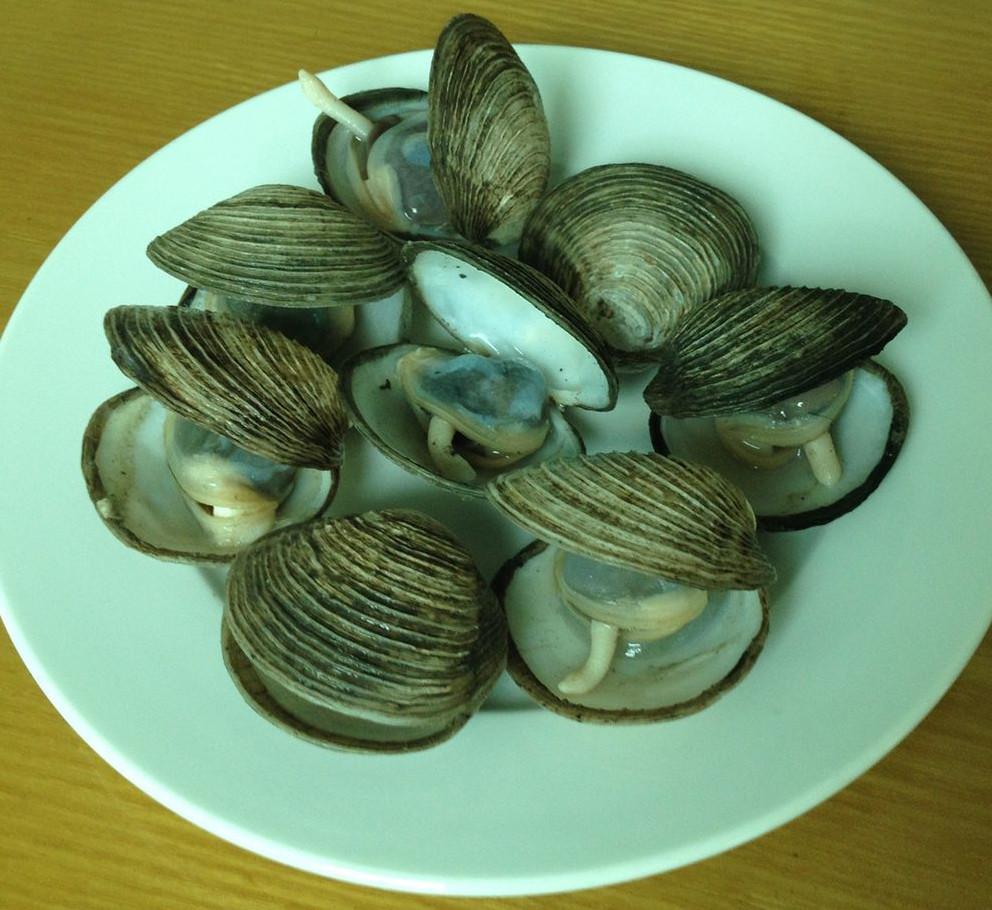 Đặc sản quý hiếm giá bạc triệu, được ví như thần dược phái mạnh ở Quảng Ninh-5