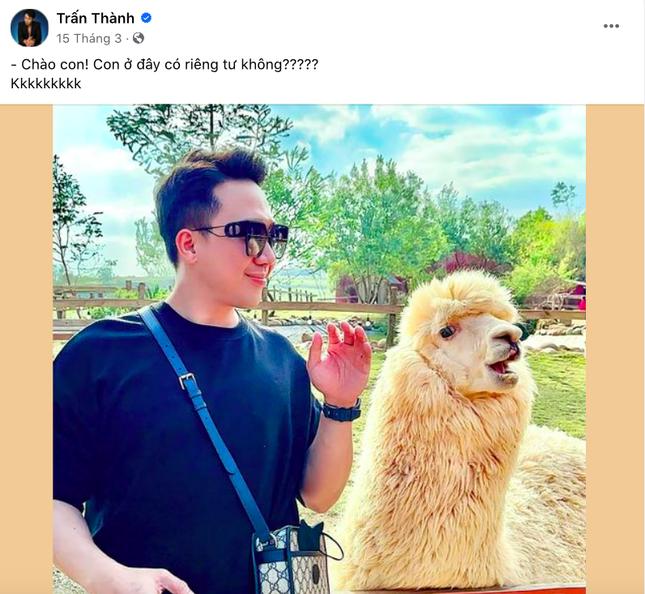 Trấn Thành lạ trước loạt drama: Từ gay gắt đến nhắm mắt cho qua-3