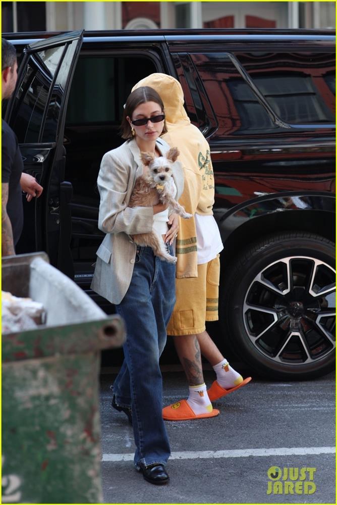 Vợ chồng Justin Bieber ẵm thú cưng đi dạo phố sau khi bị tấn công-2