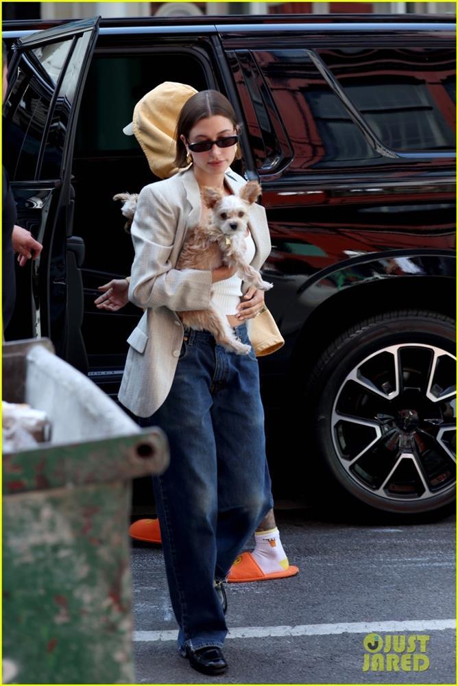 Vợ chồng Justin Bieber ẵm thú cưng đi dạo phố sau khi bị tấn công-6