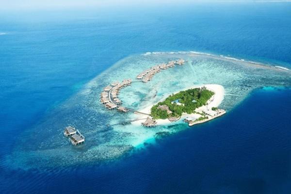 Trắc nghiệm tâm lý: Bạn thấy hình ảnh gì từ cái nhìn đầu tiên?-2