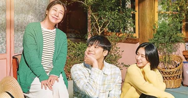 Mỹ nam Hàn đóng cameo vài phút vẫn gây sốt từng sang Việt Nam-1