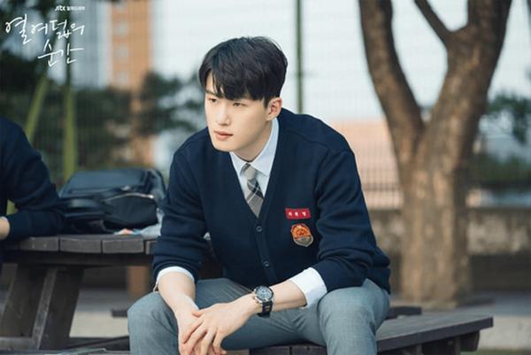 Mỹ nam Hàn đóng cameo vài phút vẫn gây sốt từng sang Việt Nam-3