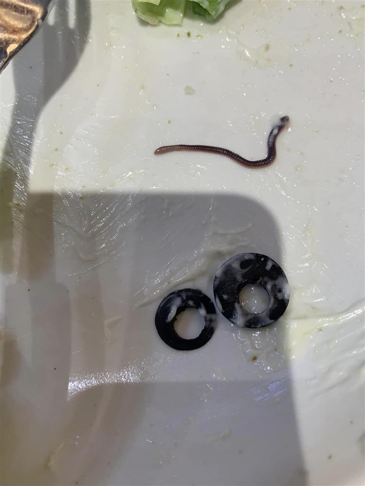 Salad có sinh vật lạ ngoe nguẩy, nhà hàng sườn nổi tiếng Hà Nội nói gì?-2