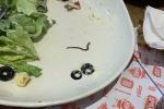 Salad có 'sinh vật lạ' ngoe nguẩy, nhà hàng sườn nổi tiếng Hà Nội nói gì?