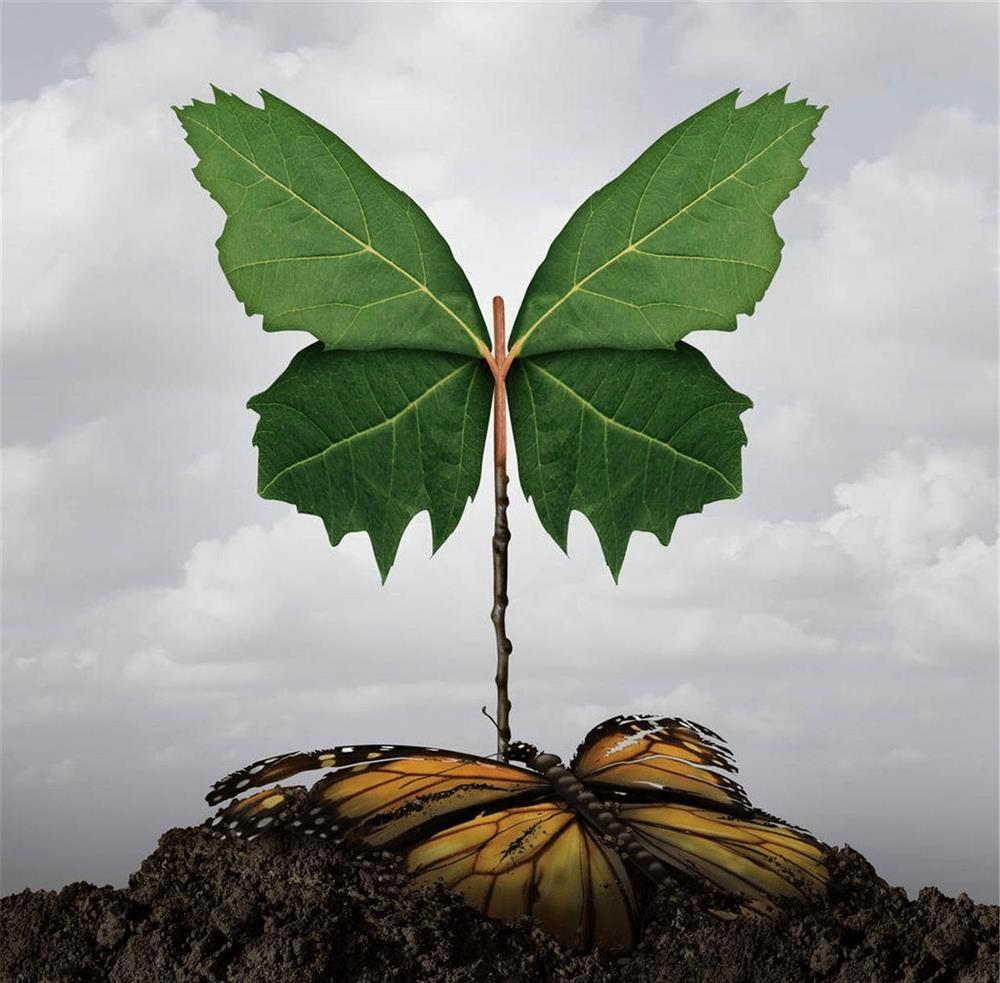 Trắc nghiệm tâm lý: Bạn thấy hình ảnh gì từ cái nhìn đầu tiên?-1